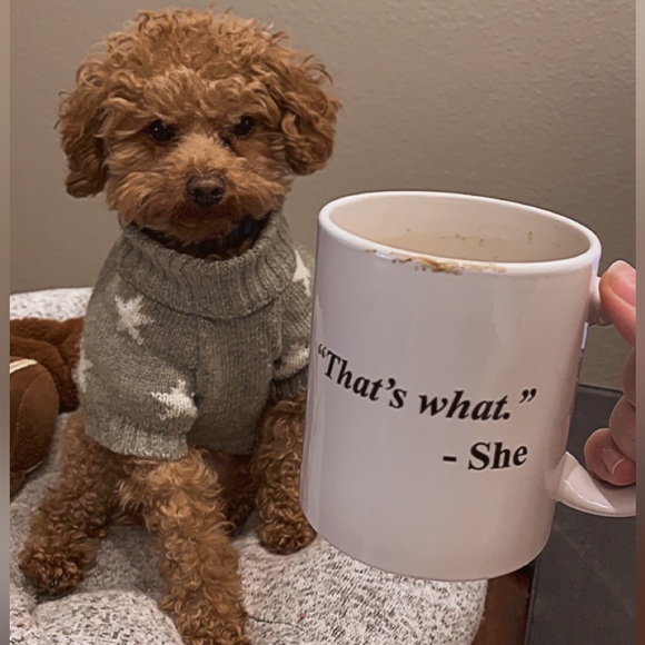 MIKGROS POSH SHOWS - Picture 6 of 11